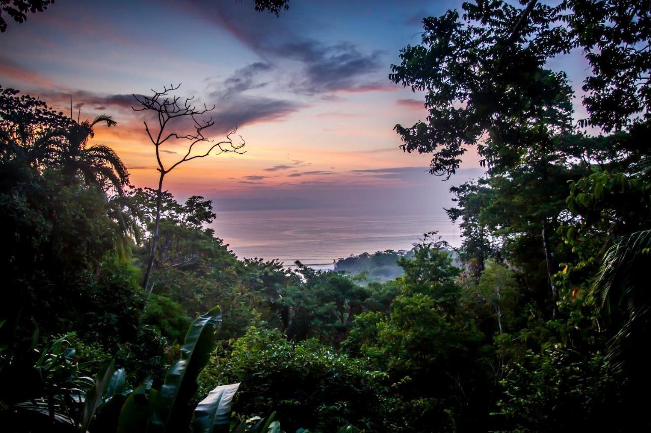 Lapa Rios Lodge By Boeena Puerto Jiménez المظهر الخارجي الصورة