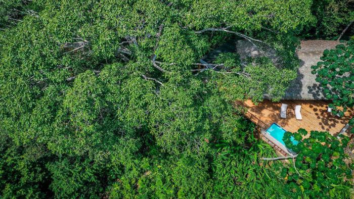 Lapa Rios Lodge By Boeena Puerto Jiménez الغرفة الصورة