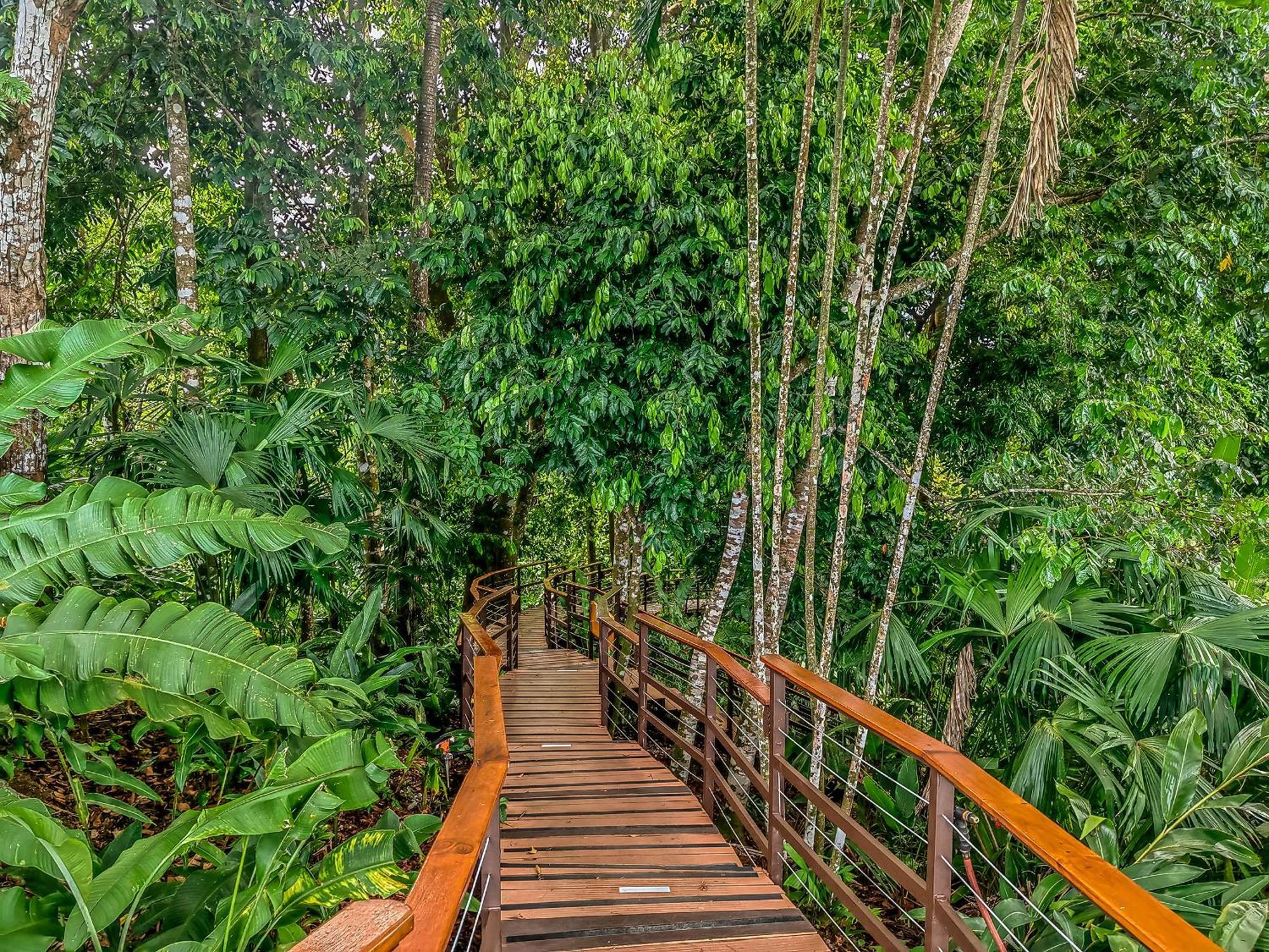 Lapa Rios Lodge By Boeena Puerto Jiménez المظهر الخارجي الصورة