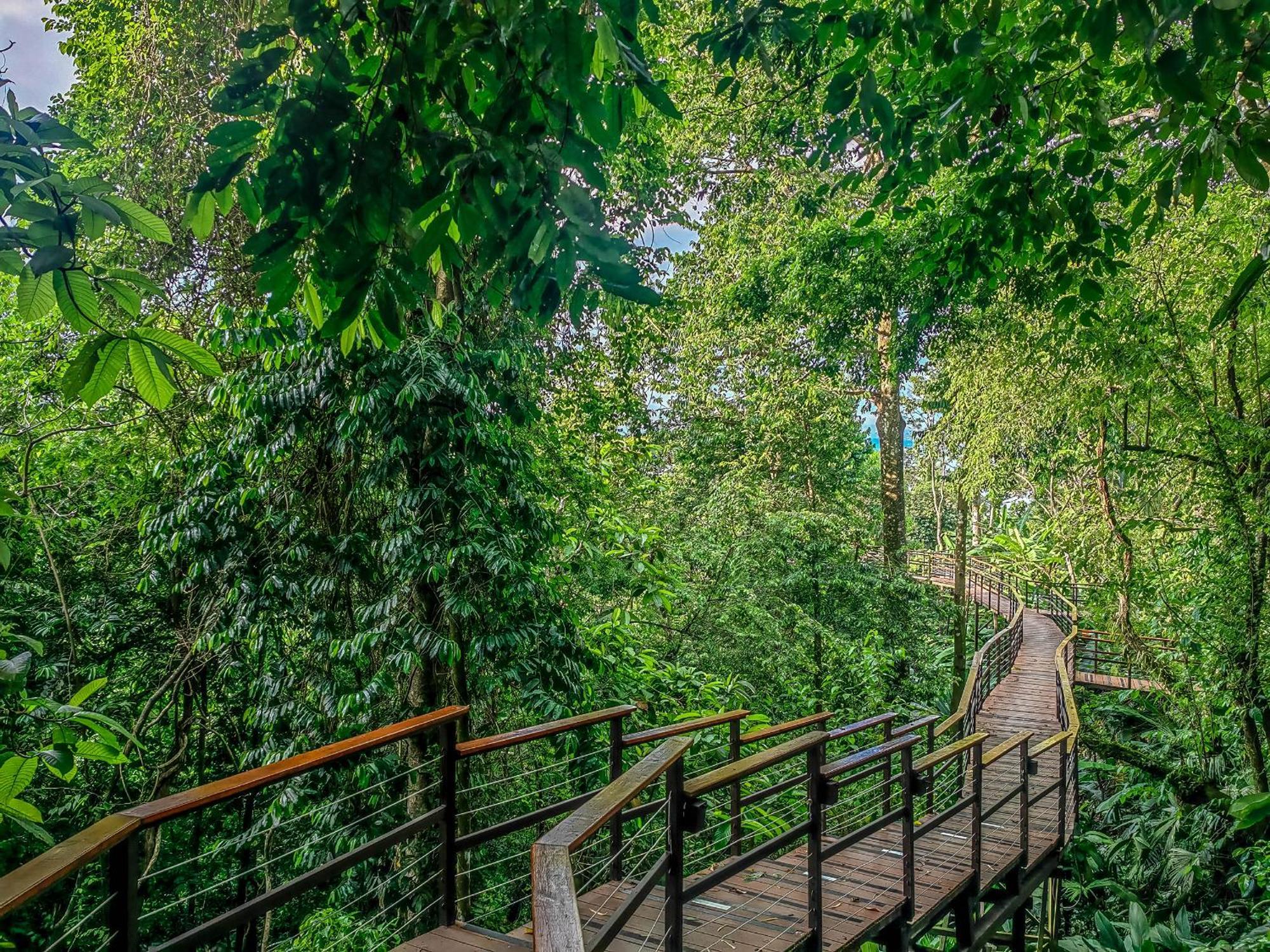 Lapa Rios Lodge By Boeena Puerto Jiménez المظهر الخارجي الصورة